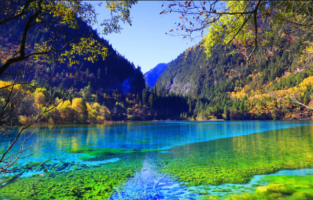 vivo信息流手机广告怎么做?vivo信息流代理商哪家投放广告好? vivo信息流手机广告怎么做?vivo信息流代理商哪家投放广告好?