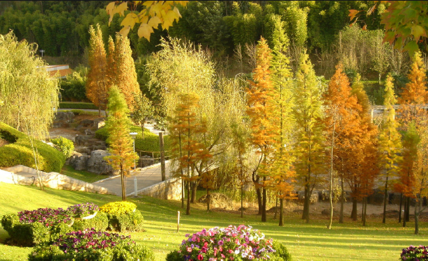 vivo引流效果怎么样?vivo手机怎么投放广告? vivo引流效果怎么样?vivo手机怎么投放广告?