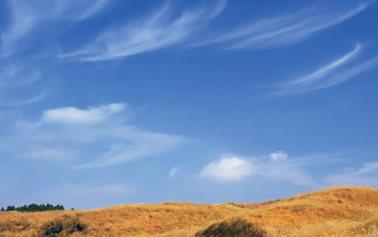 vivo推广怎么收费?vivo信息流 vivo推广怎么收费?vivo信息流