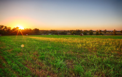 vivo推广怎么收费?vivo广告投放 vivo推广怎么收费?vivo广告投放