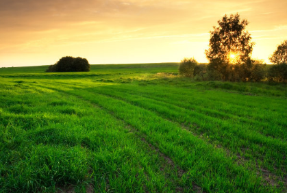 vivo推广怎么收费 vivo推广怎么收费