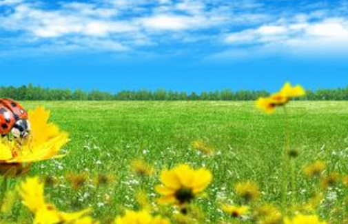 vivo推广怎么收费? vivo推广怎么收费?