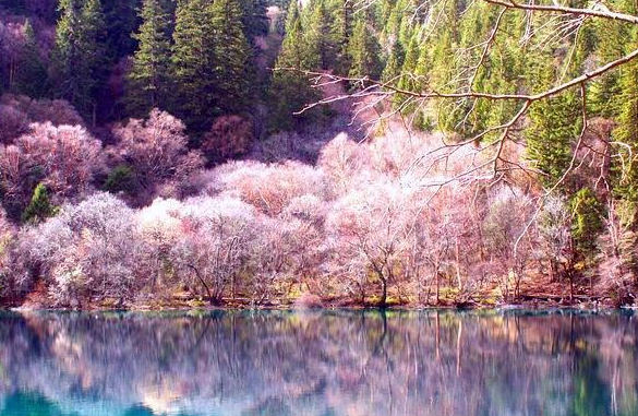 vivo信息流广告怎么做?vivo商店广告流程 vivo信息流广告怎么做?vivo商店广告流程