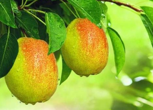 vivo推广怎么收费?vivo广告投放 vivo推广怎么收费?vivo广告投放