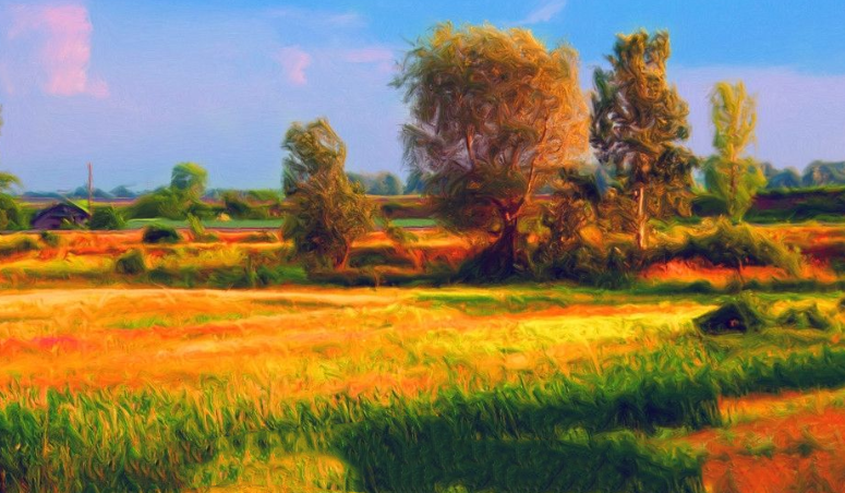 vivo推广开户,vivo广告投放代理商是哪家? vivo推广开户,vivo广告投放代理商是哪家?