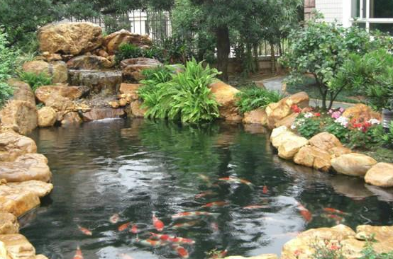 vivo推广怎么收费? vivo推广怎么收费?