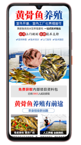 vivo广告落地页策略 vivo广告落地页策略