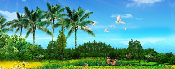 vivo信息流广告投放,vivo推广政策 vivo信息流广告投放,vivo推广政策