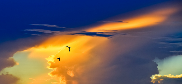 vivo信息流广告投放,vivo推广政策 vivo信息流广告投放,vivo推广政策