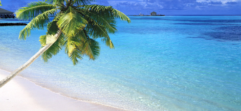 vivo信息流广告投放,vivo推广政策 vivo信息流广告投放,vivo推广政策