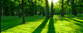 vivo信息流广告投放,vivo推广政策 vivo信息流广告投放,vivo推广政策