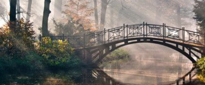 vivo信息流广告投放,vivo推广政策 vivo信息流广告投放,vivo推广政策