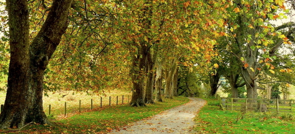 vivo推广优惠活动,vivo推广开户价格 vivo推广优惠活动,vivo推广开户价格