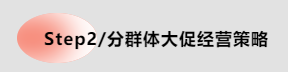 Step2/分群体大促经营策略 Step2/分群体大促经营策略